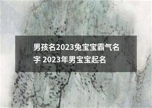 男孩名2023兔宝宝霸气名字 2023年男宝宝起名