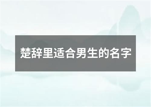 楚辞里适合男生的名字