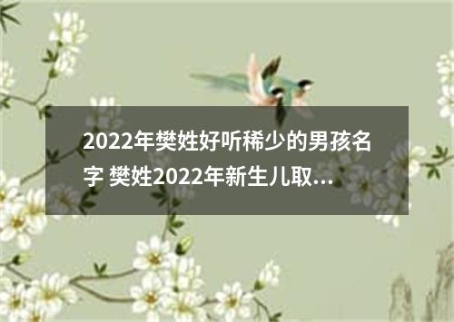 2022年樊姓好听稀少的男孩名字 樊姓2022年新生儿取名字