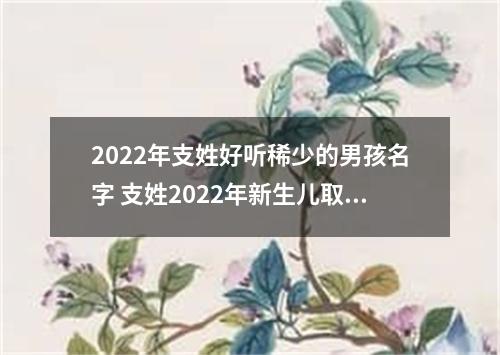 2022年支姓好听稀少的男孩名字 支姓2022年新生儿取名字