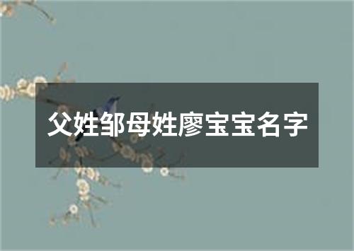 父姓邹母姓廖宝宝名字