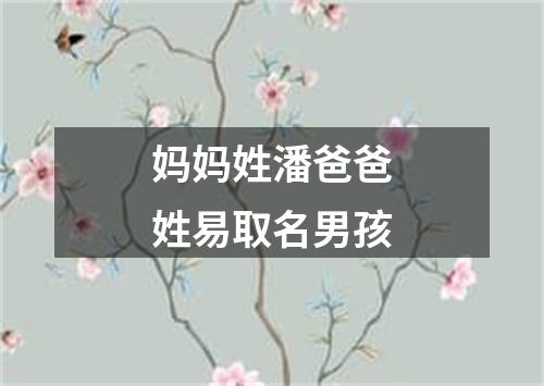 妈妈姓潘爸爸姓易取名男孩