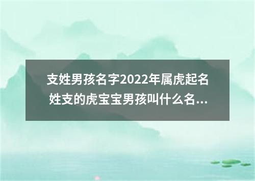 支姓男孩名字2022年属虎起名 姓支的虎宝宝男孩叫什么名字好