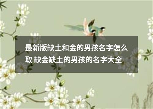 最新版缺土和金的男孩名字怎么取 缺金缺土的男孩的名字大全