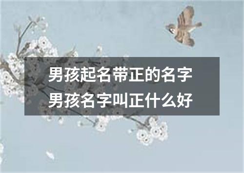 男孩起名带正的名字 男孩名字叫正什么好