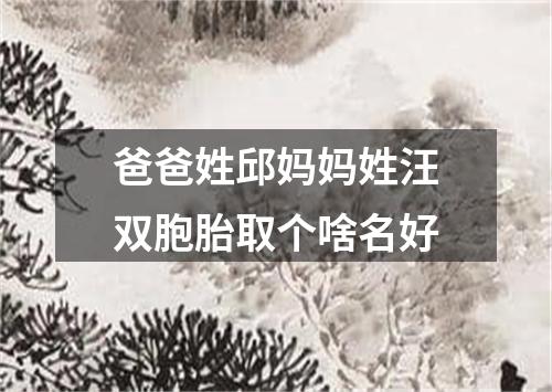 爸爸姓邱妈妈姓汪双胞胎取个啥名好