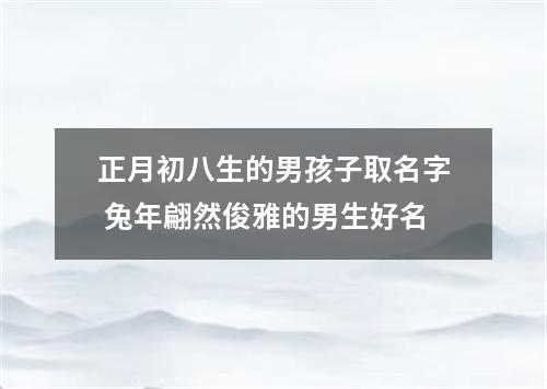 正月初八生的男孩子取名字 兔年翩然俊雅的男生好名