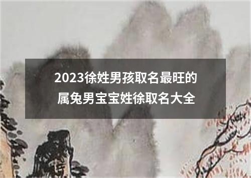 2023徐姓男孩取名最旺的 属兔男宝宝姓徐取名大全