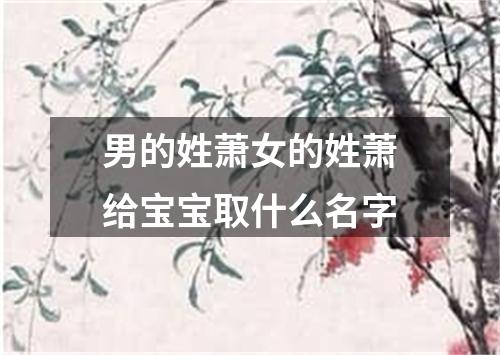 男的姓萧女的姓萧给宝宝取什么名字