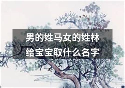 男的姓马女的姓林给宝宝取什么名字