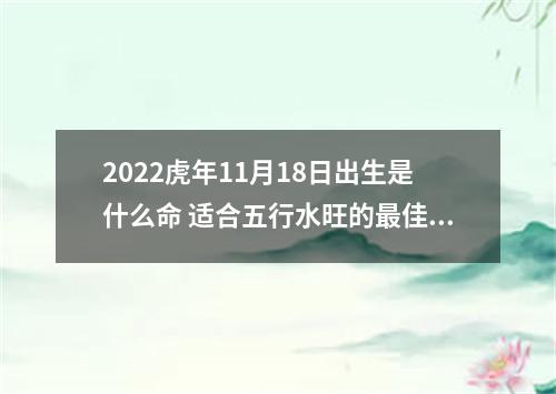 2022虎年11月18日出生是什么命 适合五行水旺的最佳寓意名字