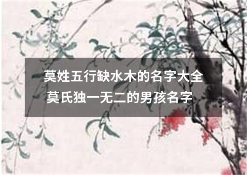 莫姓五行缺水木的名字大全 莫氏独一无二的男孩名字