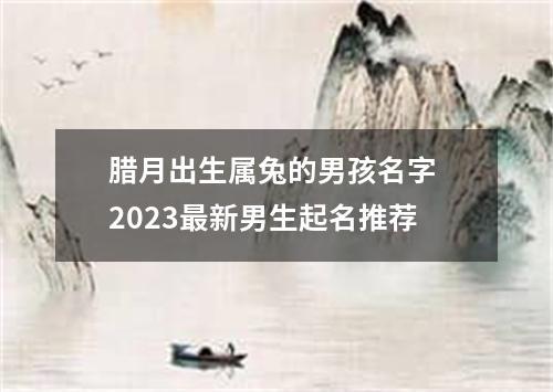 腊月出生属兔的男孩名字 2023最新男生起名推荐