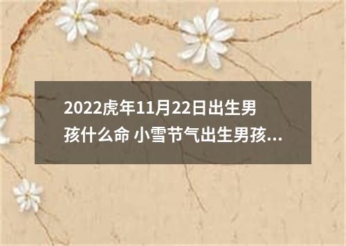 2022虎年11月22日出生男孩什么命 小雪节气出生男孩最佳名字推荐