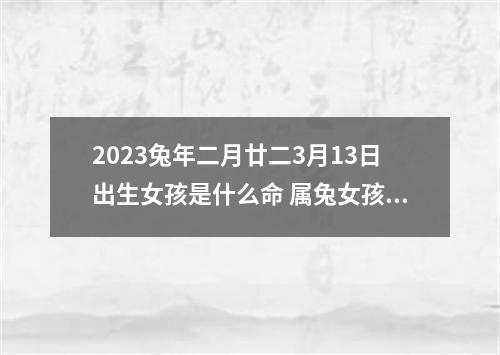 2023兔年二月廿二3月13日出生女孩是什么命 属兔女孩好听的名字