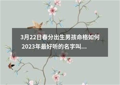 3月22日春分出生男孩命格如何 2023年最好听的名字叫什么