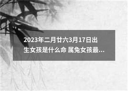 2023年二月廿六3月17日出生女孩是什么命 属兔女孩最旺的名字