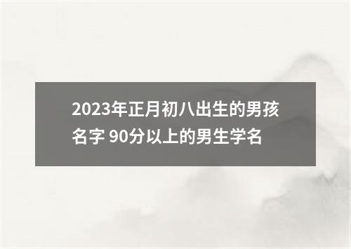 2023年正月初八出生的男孩名字 90分以上的男生学名