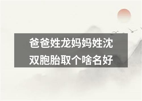 爸爸姓龙妈妈姓沈双胞胎取个啥名好
