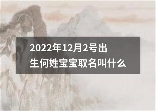2022年12月2号出生何姓宝宝取名叫什么