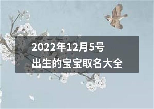 2022年12月5号出生的宝宝取名大全