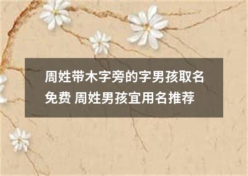 周姓带木字旁的字男孩取名免费 周姓男孩宜用名推荐