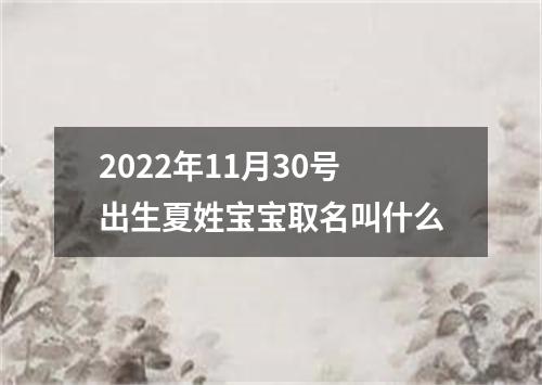 2022年11月30号出生夏姓宝宝取名叫什么