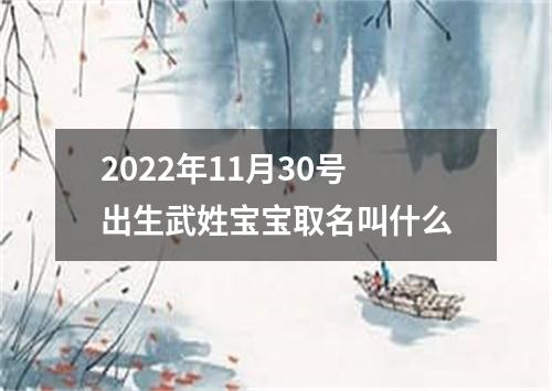 2022年11月30号出生武姓宝宝取名叫什么