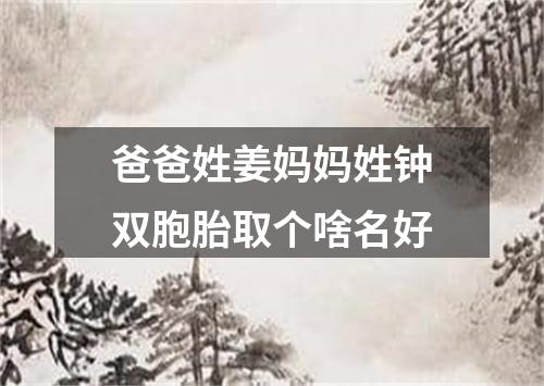 爸爸姓姜妈妈姓钟双胞胎取个啥名好