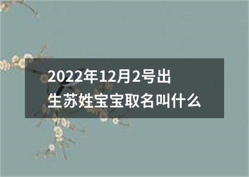 2022年12月2号出生苏姓宝宝取名叫什么