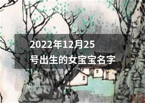 2022年12月25号出生的女宝宝名字