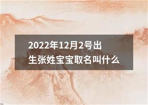 2022年12月2号出生张姓宝宝取名叫什么