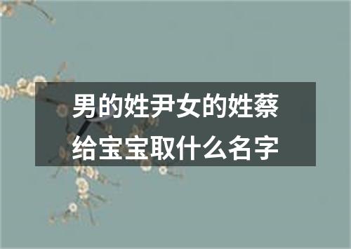 男的姓尹女的姓蔡给宝宝取什么名字
