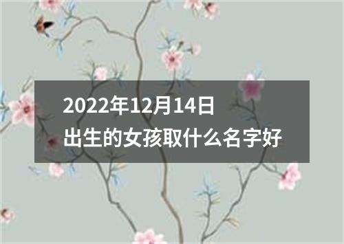 2022年12月14日出生的女孩取什么名字好