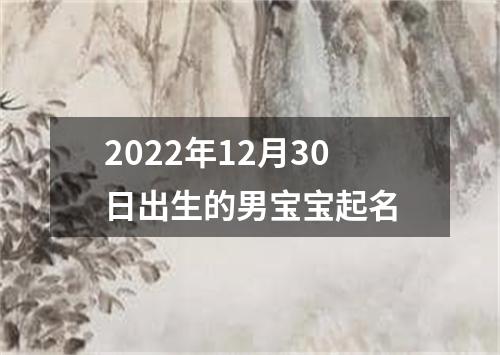 2022年12月30日出生的男宝宝起名