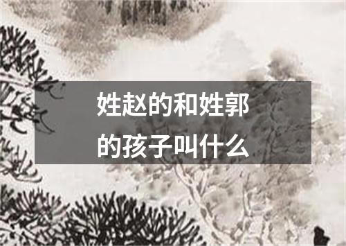 姓赵的和姓郭的孩子叫什么