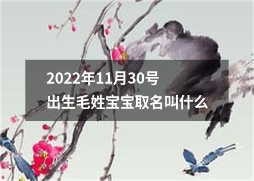 2022年11月30号出生毛姓宝宝取名叫什么