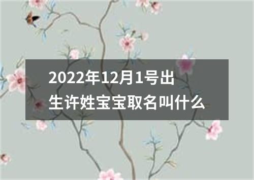 2022年12月1号出生许姓宝宝取名叫什么