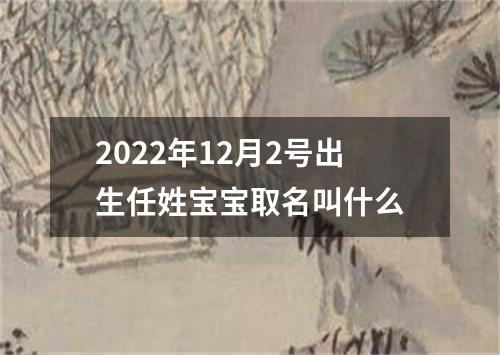 2022年12月2号出生任姓宝宝取名叫什么