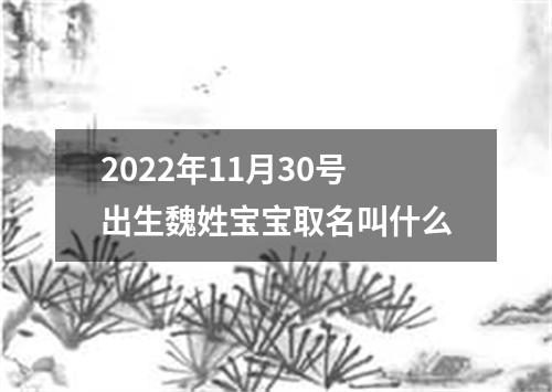 2022年11月30号出生魏姓宝宝取名叫什么