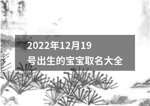 2022年12月19号出生的宝宝取名大全