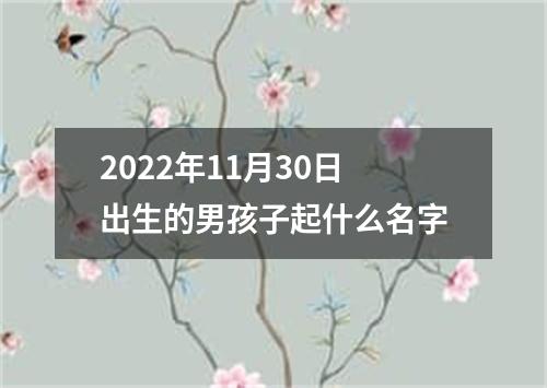 2022年11月30日出生的男孩子起什么名字