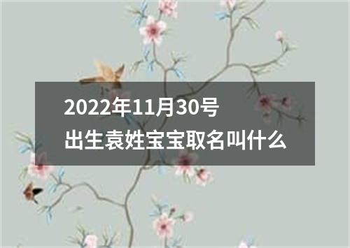 2022年11月30号出生袁姓宝宝取名叫什么