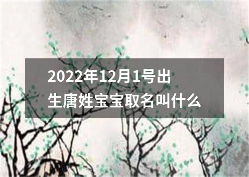 2022年12月1号出生唐姓宝宝取名叫什么