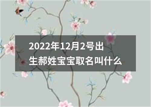 2022年12月2号出生郝姓宝宝取名叫什么