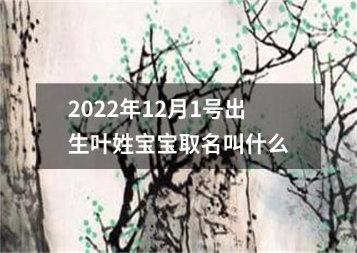 2022年12月1号出生叶姓宝宝取名叫什么