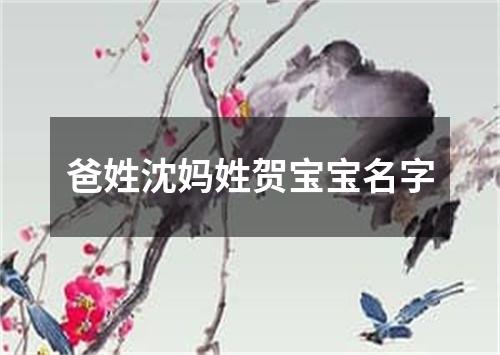 爸姓沈妈姓贺宝宝名字