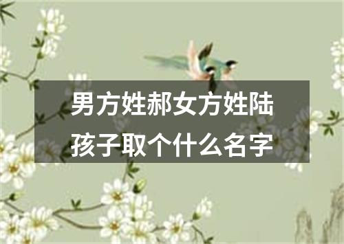 男方姓郝女方姓陆孩子取个什么名字