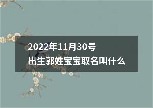 2022年11月30号出生郭姓宝宝取名叫什么