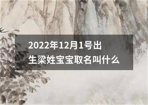 2022年12月1号出生梁姓宝宝取名叫什么